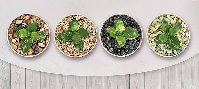 Desert Stone Bag - 900g
